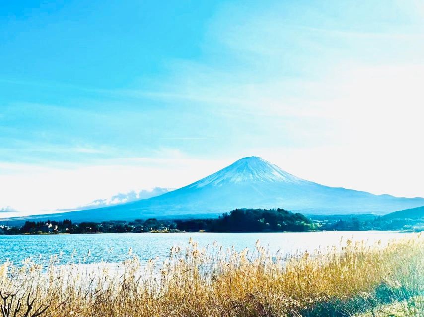 From Tokyo: Guided Day Trip to Kawaguchi Lake and Mt. Fuji - Starting Location Options