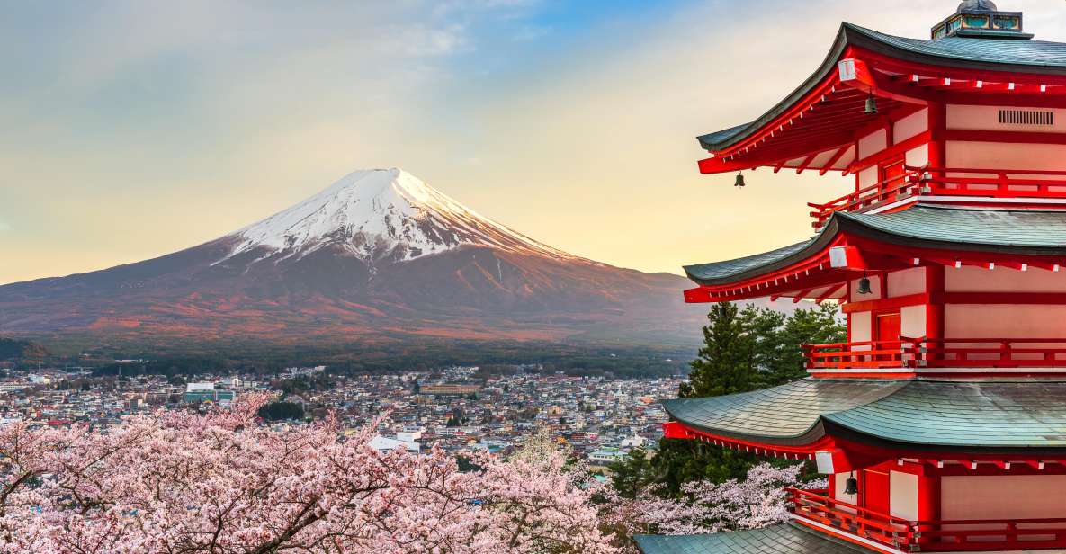 From Tokyo: Mt. Fuji or Hakone Private Sightseeing Day Trip - Exploring Arakurayama Sengen Park