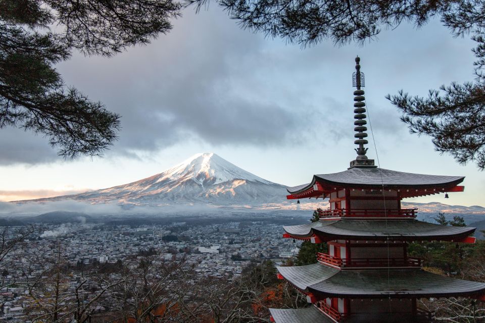 From Tokyo: Private Mount Fuji and Hakone Day Trip - Itinerary