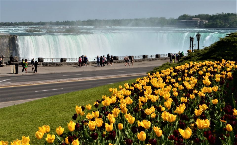 From Toronto: Niagara Falls Day Trip - Horseshoe Falls and Table Rock