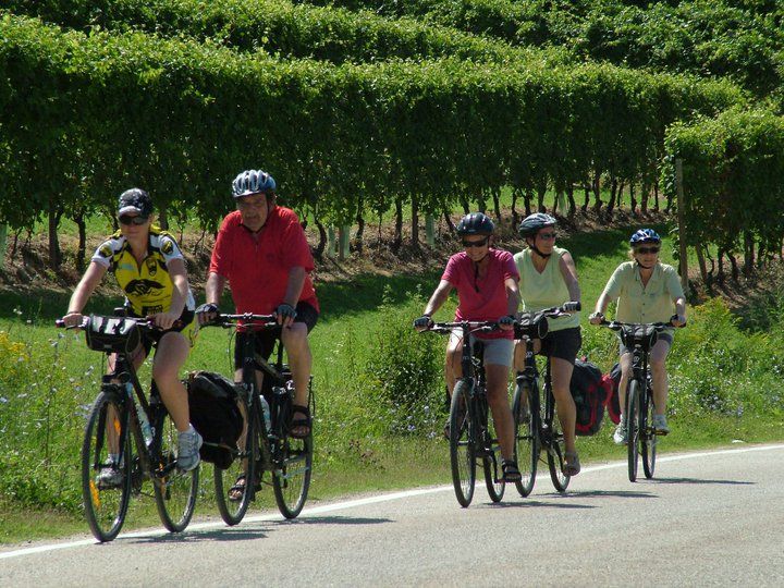 From Turin: 8-Day Cycling Tour in Piedmont - Pricing and Duration