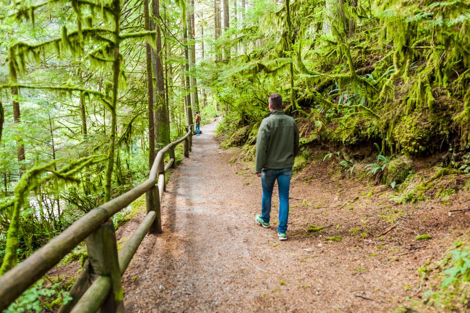 From Vancouver: Grouse Mountain & Capilano Suspension Bridge - Grouse Mountain Attractions