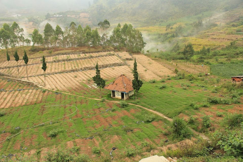 From Yogyakarta: The Beauty Of Dieng Guided Day Tour - Free Cancellation Policy