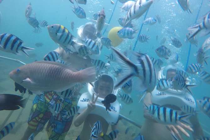 Full-Day Cham Islands Cruise From Hoi an With Underwater Walking Excursion - Marine Life and Activities