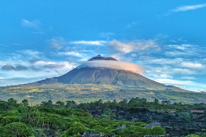 Full-Day Guided Tour in Pico Island - Volcanic Landscapes and Lava Tubes