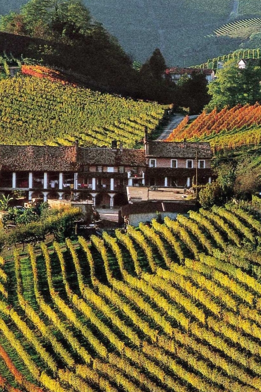 Full-Day Langhe Region Tour With Wine Tasting Experience - Tour Itinerary