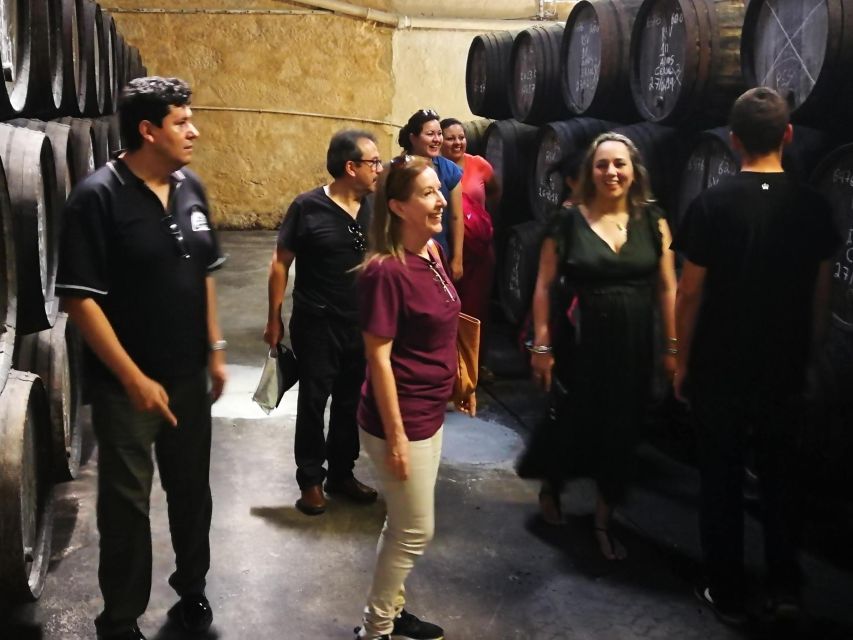 Full Day Private Tour of Olive Oil , Salt Flats and Winery - Exploring Olive Oil Production