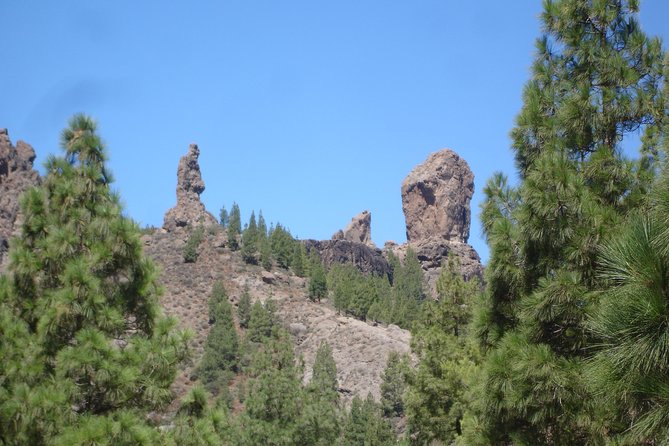 Full Day to Bandama Volcano, Center and High Peaks of Gran Canaria & Roque Nublo - Included Services