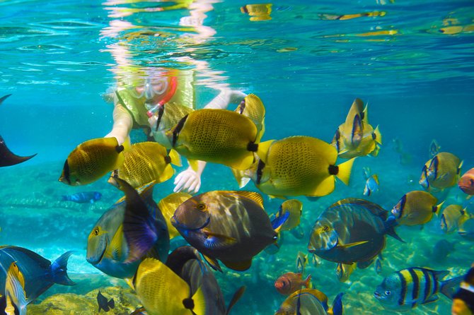 Full-Day Tour 4x4 ATV, Water Cave, and Snorkeling Cruise - Accessibility Considerations