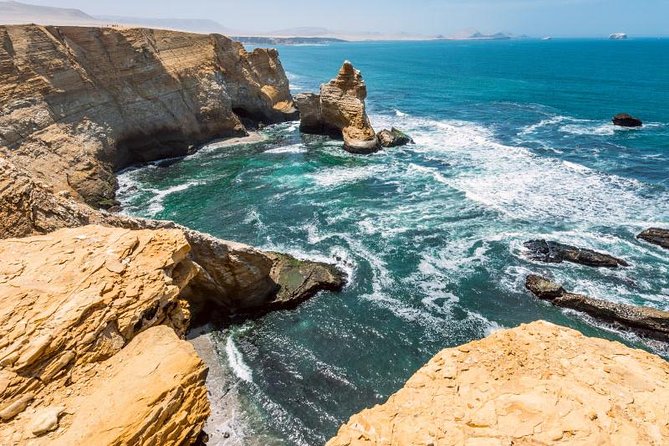 Full Day Tour From Lima: Ballestas Islands and Paracas Reserve - Experience Highlights