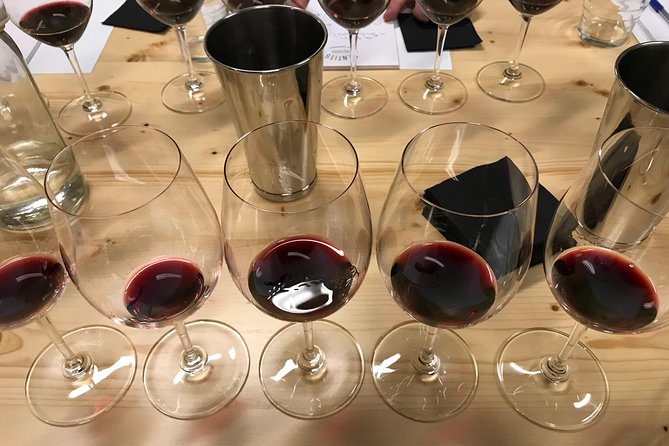 Fun Wine Tasting in Barcelona With a Sommelier! - Inclusions and Highlights