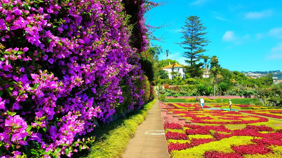 Funchal: Madeira Botanical Garden Private Tuk-Tuk Tour - Booking Information