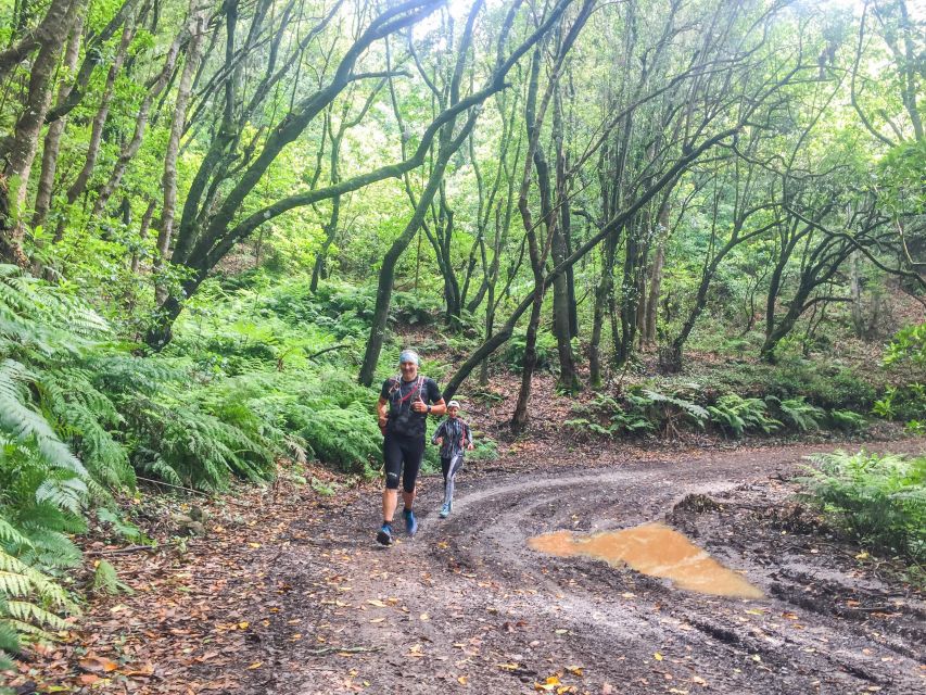 Funchal: Ocean to Mountain Running Tour - Scenic Larano Trail