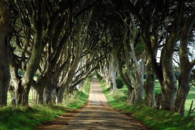 Game of Thrones and Giants Causeway Day Tour From Belfast - Key Highlights