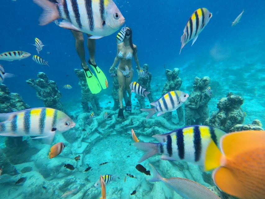 Gili Islands: 3 Islands Snorkeling Tour With Gopro - Snorkeling Adventure Highlights