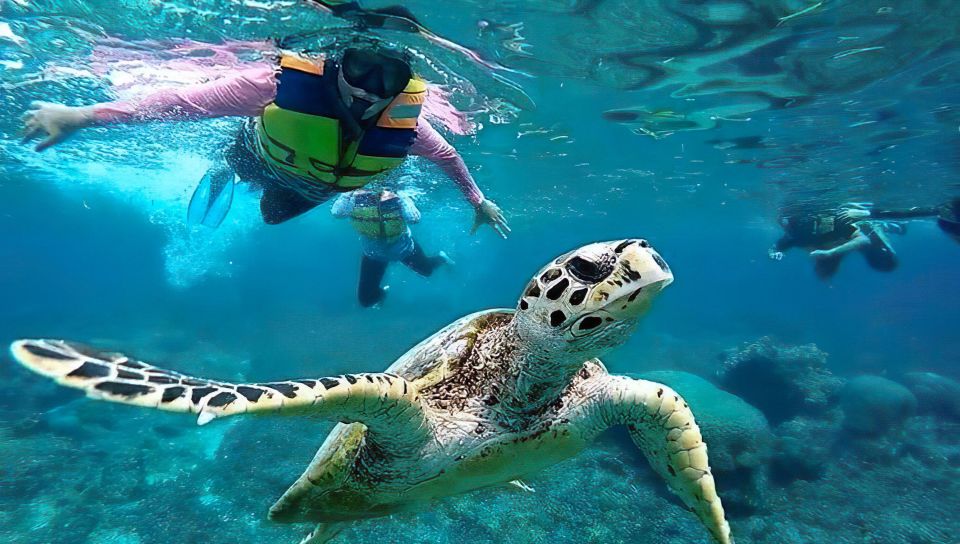 Gili Islands Snorkeling Adventure - Enchanting Underwater Landscapes