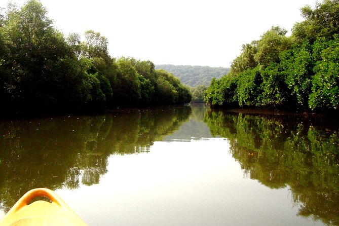 Goa Kayaking Spikes Salonia Backwaters Kayaking Experience - Booking Your Kayaking Adventure