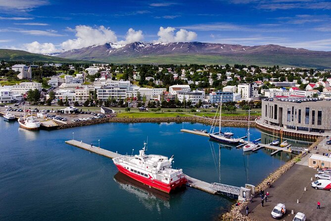 Godafoss Waterfall & Geothermal Baths From Akureyri Port - Pickup and Drop-off Location
