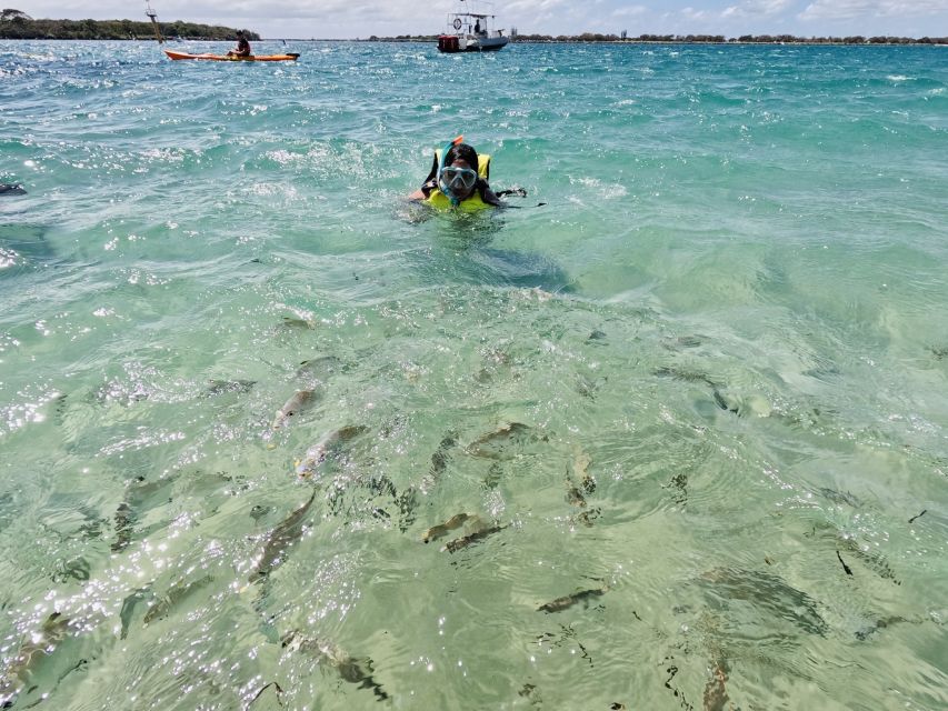 Gold Coast: Kayaking and Snorkeling Guided Tour - Tour Activity