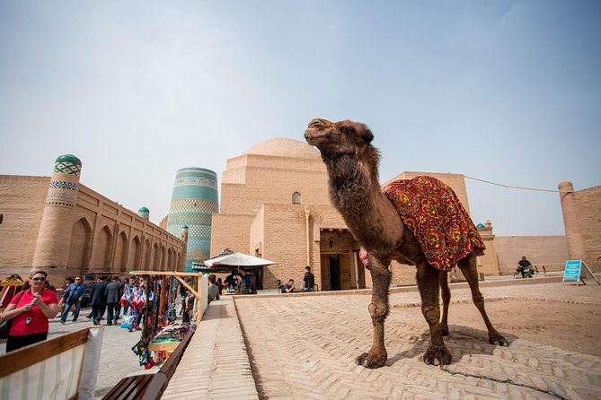 Grand Uzbekistan Tour - Pickup and Meeting