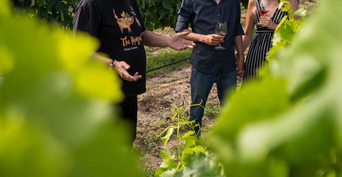 Grape to Glass Master Class - Terroir and Grape Varieties