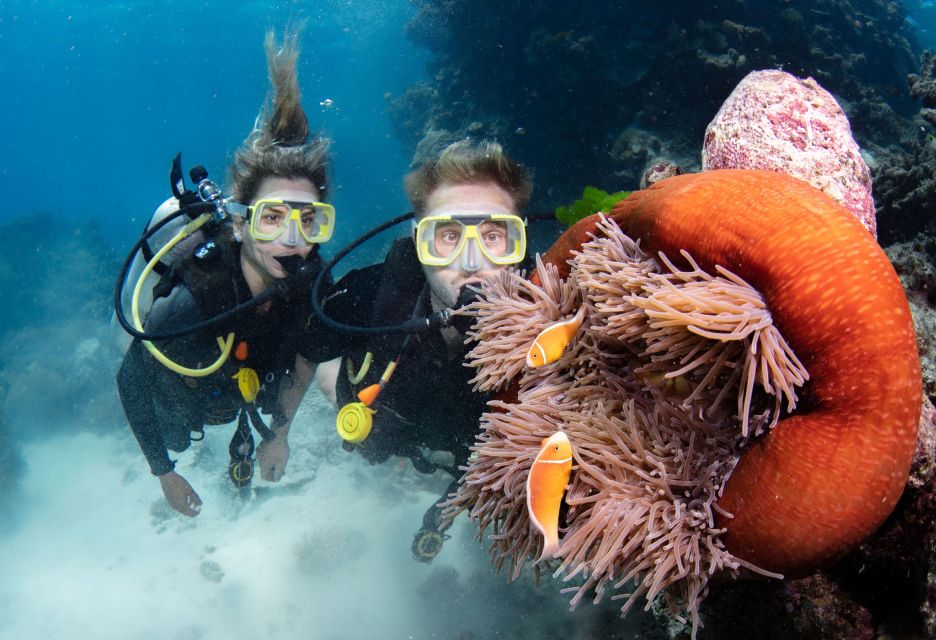 Great Barrier Reef Snorkel & Dive Full-Day Adventure - Price and Duration Details