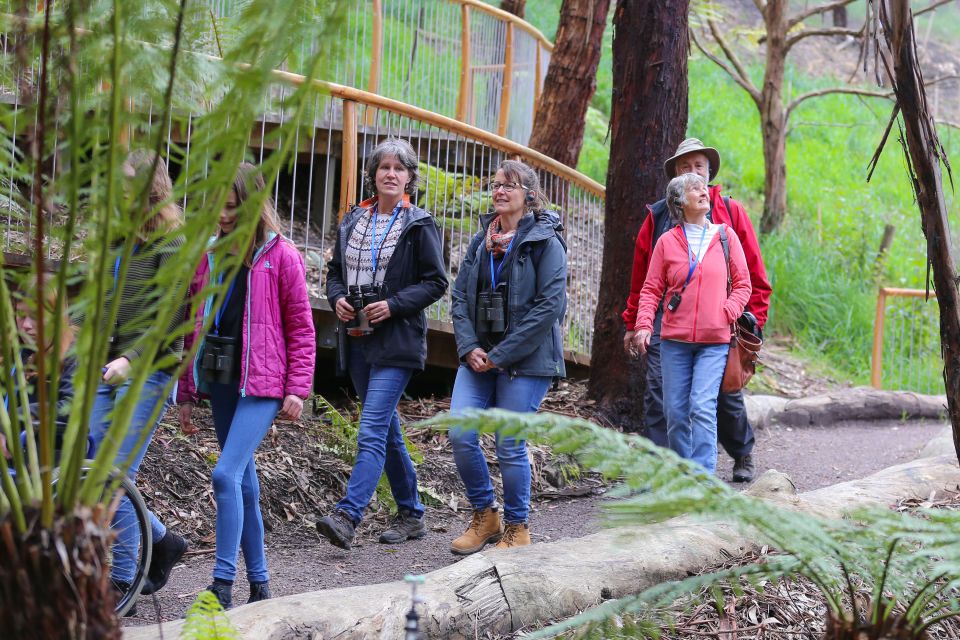 Great Ocean Road: Guided Wildlife Walk That Supports Nature - Experience Australian Flora and Fauna