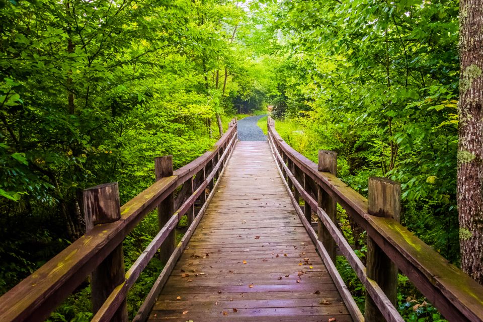 Great Smoky & Shenandoah National Park Driving Audio Tour - Exploring Great Smoky Mountains