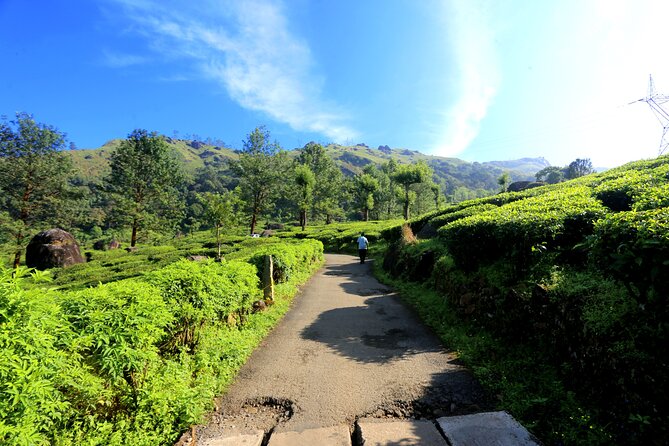 Green Magic Day Tour to Munnar - Pricing and Availability