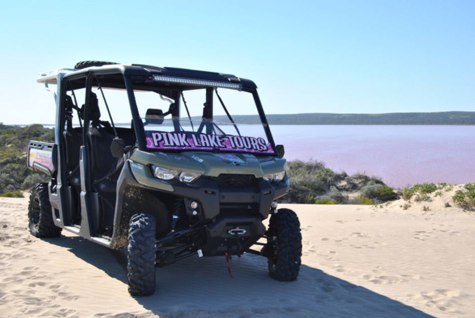 Gregory: Pink Lake Buggy Tour - Highlights