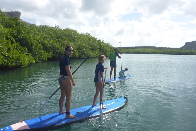 Guided Paddleboarding (Sup) Mangrove ECO Tour for Beginners - Equipment and Instruction Provided