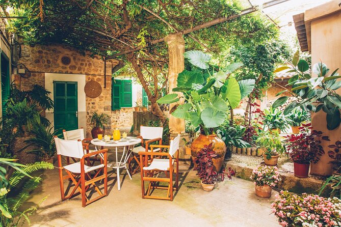 Guided Tasting Tour in 16TH Century House and Olive Oil Factory - Guided Tasting Tour Details