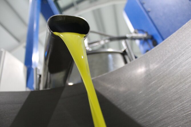 Guided Tour and Olive Oil Tasting in Alhaurin El Grande (Malaga) - Olive Oil Production Facilities