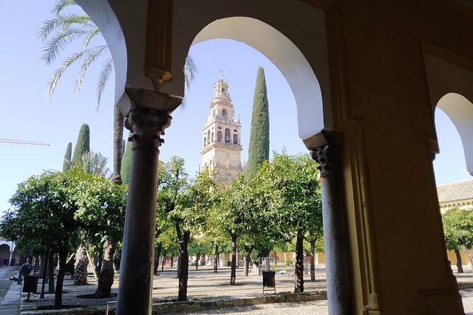 Guided Tour Inside the Mosque-Cathedral of Cordoba - Architectural Marvels and Designs
