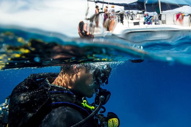 Half-Day Aruba Intro Diving Course for Beginners - Inclusions and Meeting Details