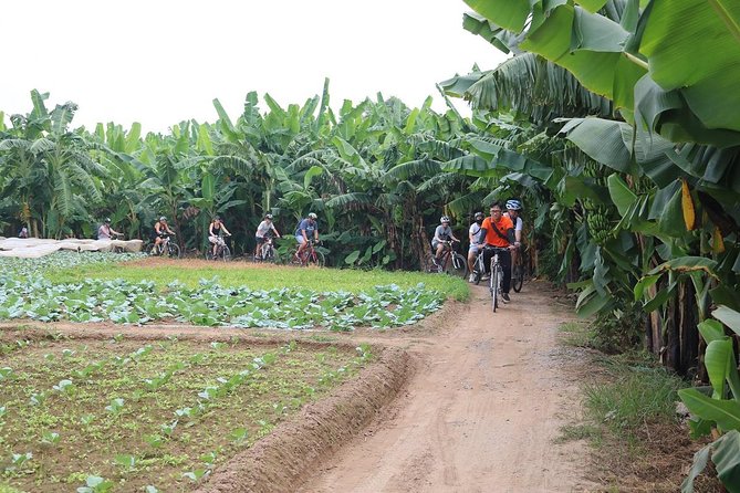 Half-Day Bicycle Tour of Hanoi City & Countryside + Train Street - Logistics