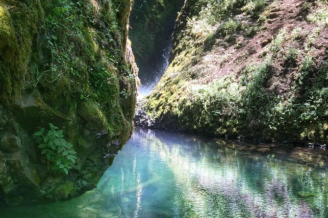 Half-Day Columbia River Gorge and Waterfall Hiking Tour - Itinerary Highlights