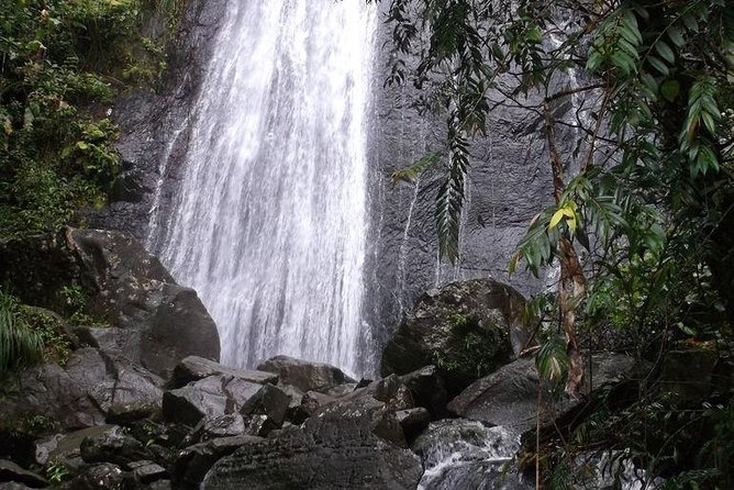 Half-Day El Yunque National Forest Tour From San Juan - Itinerary and Highlights