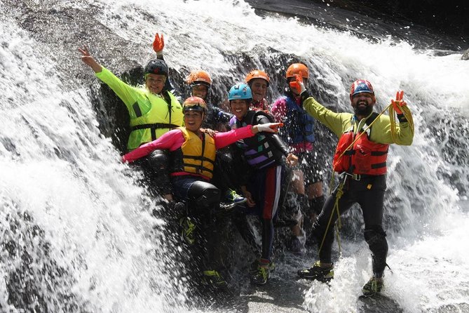 Half-Day El Yunque Rainforest Wilderness Adventure - Safety Gear Provided