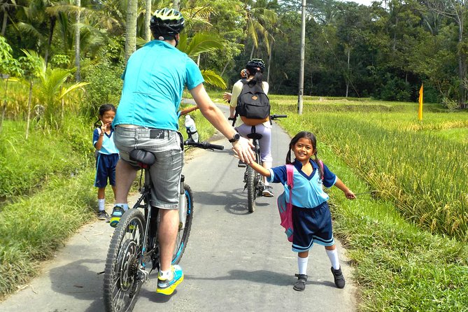 Half-Day Electric Cycling Tour of Ubud - Included Activities