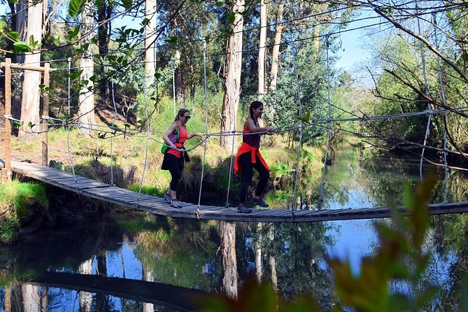 Half Day Hike & Picnic 2.0 With Dog Love in Portos Mountains - Hiking Through Serras Do Porto