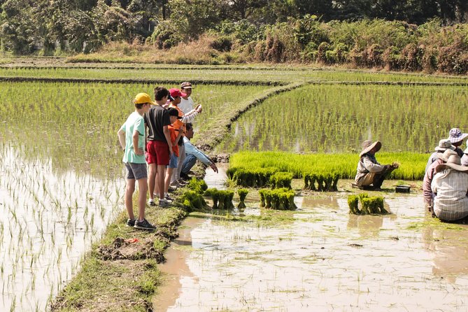 Half-Day Lanna Countryside Cycling Tour in Chiang Mai - Inclusions and Exclusions