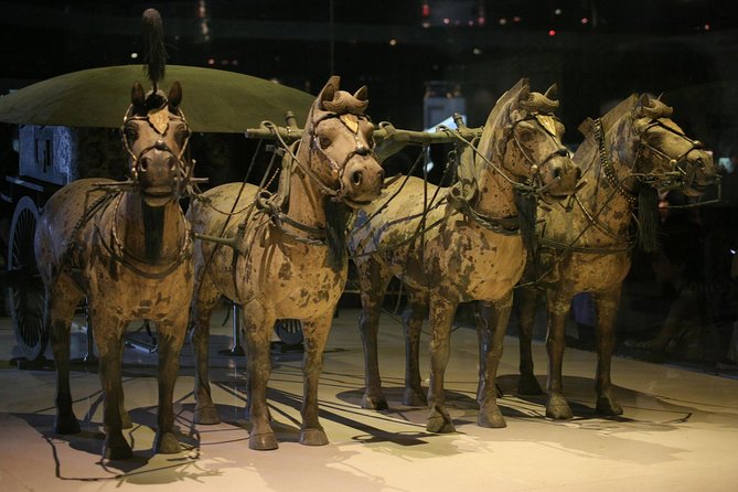 Half-Day Mini Group Xian Tour to Terracotta Warriors Museum - Inclusions and Fees