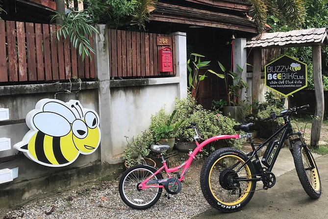 Half-Day Ping River and Rice Paddies E-Bike Adventure (Flat Land, Guided) - Physical Fitness Requirements