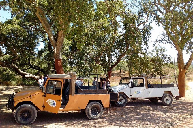 Half Day Safari Tour With Wine Tasting - Countryside Exploration