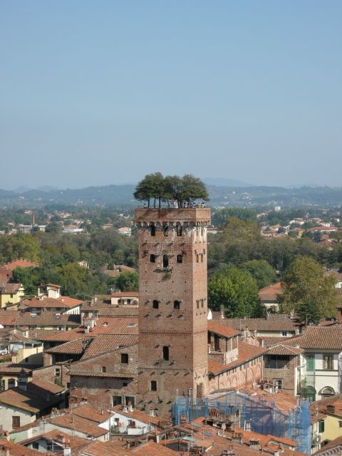 Half-Day Tour to Lucca From Florence - Strolling Through the Streets