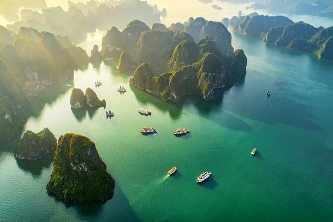 Halong Bay Day Trip 6hour: Buffet Lunch,Limousine Bus,Small Group - Inclusions of the Trip