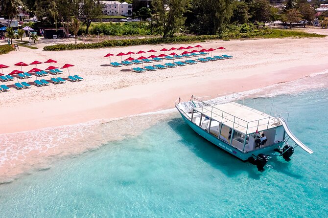 Harbour Lights - Chair & Turtle & Shipwreck Snorkel Tour - Guest Experiences