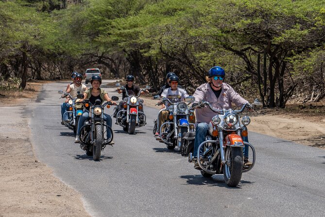 Harley-Davidson Guided Island Tours - Unique Riding Experience