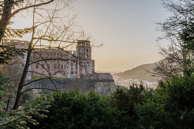 Heidelberg Castle and City Day Tour From Frankfurt - Inclusions and Exclusions